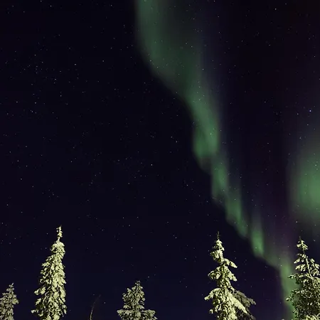 Peurakaltio Arctic Retreat 穆奥尼奥