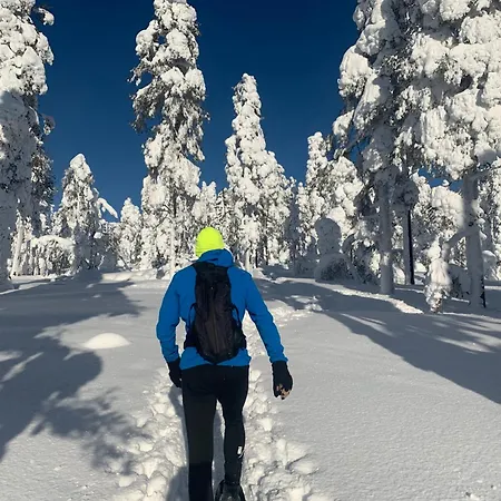 Peurakaltio Arctic Retreat 穆奥尼奥