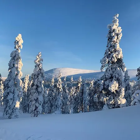Peurakaltio Arctic Retreat *